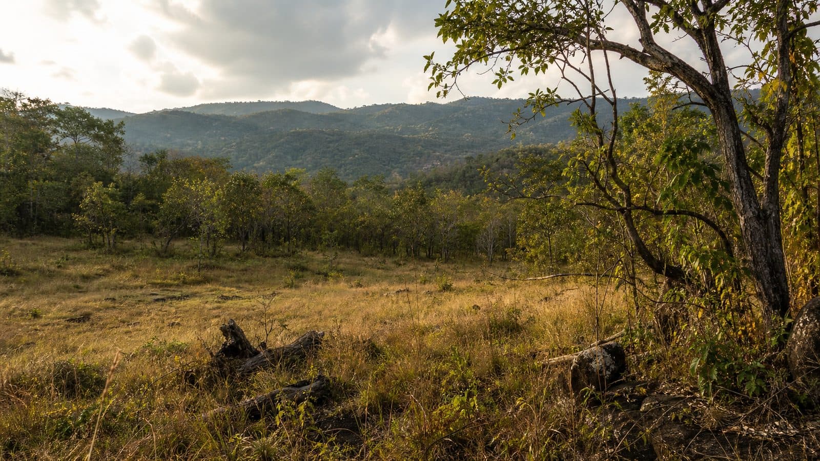 Huai Kha Khaeng Wildlife Sanctuary