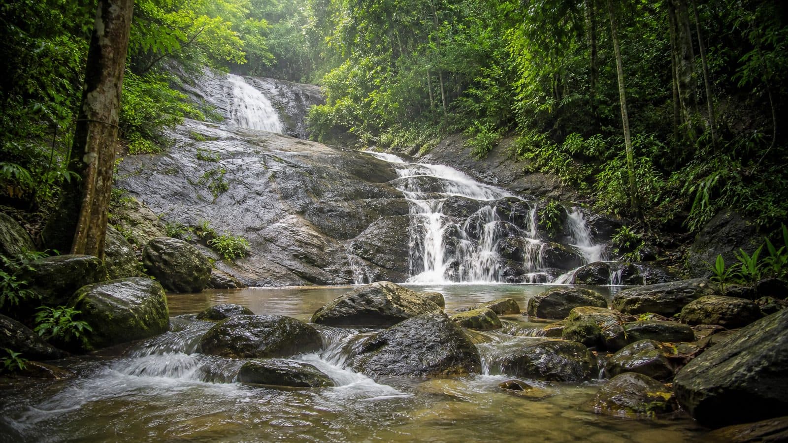Huai Tad Thong Forest Park