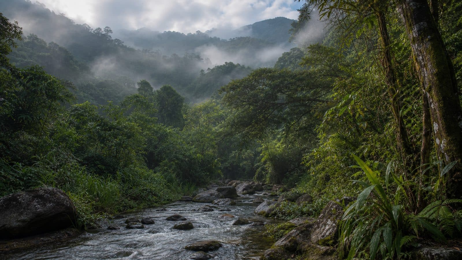 Khong Watershed Forest Reserve