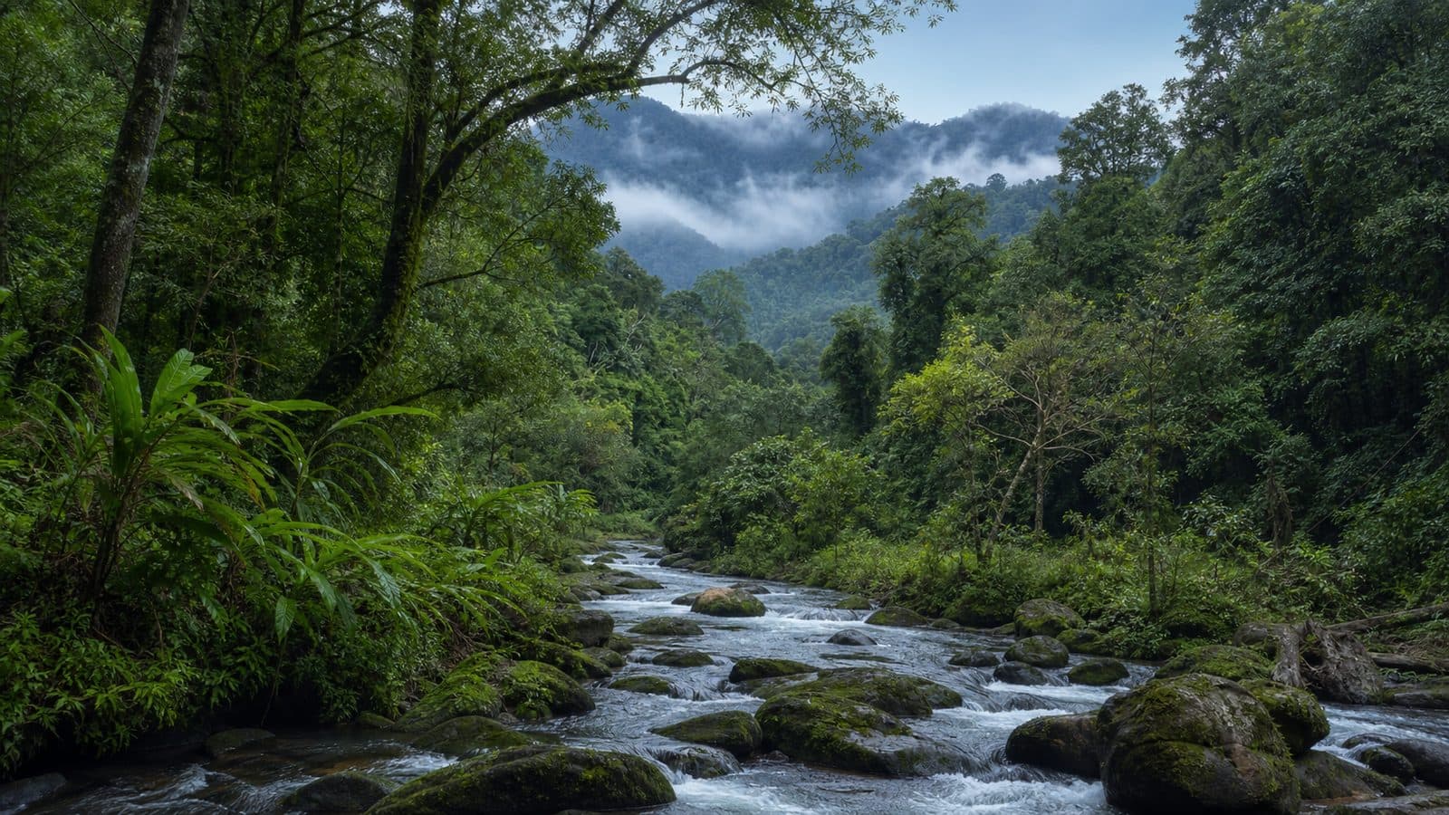 Khun Chae National Park