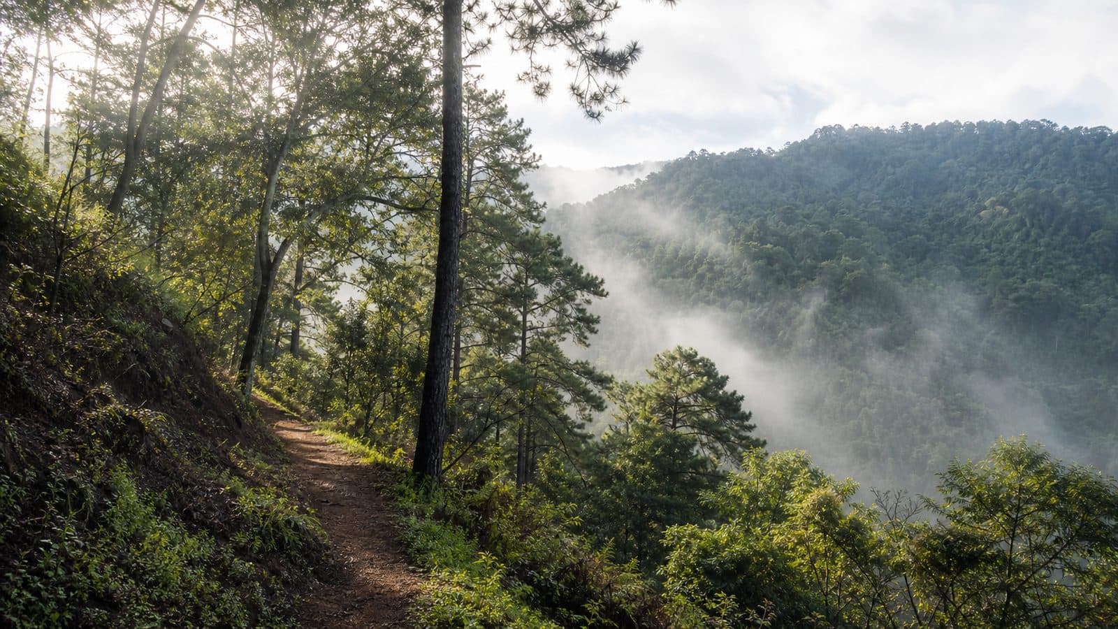 Khun Khan National Park