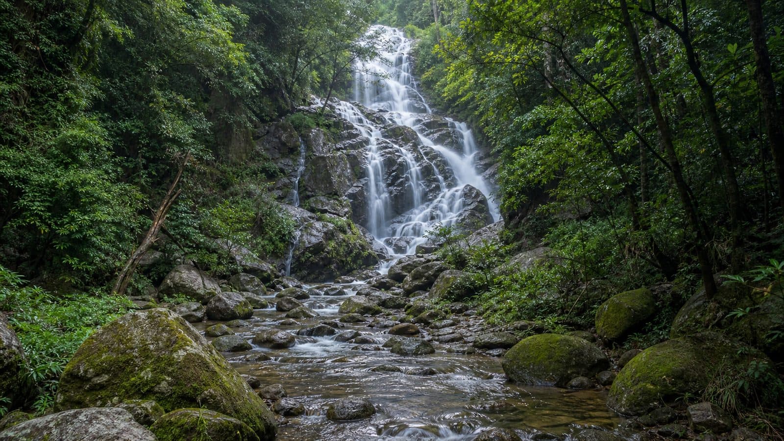 Khun Nam Yap Forest Park
