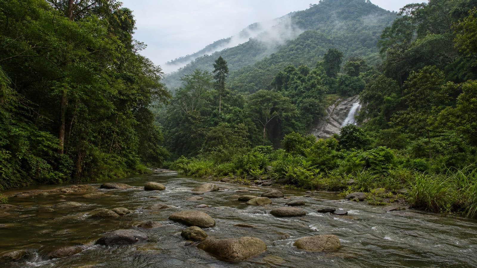 Mae Wang National Park