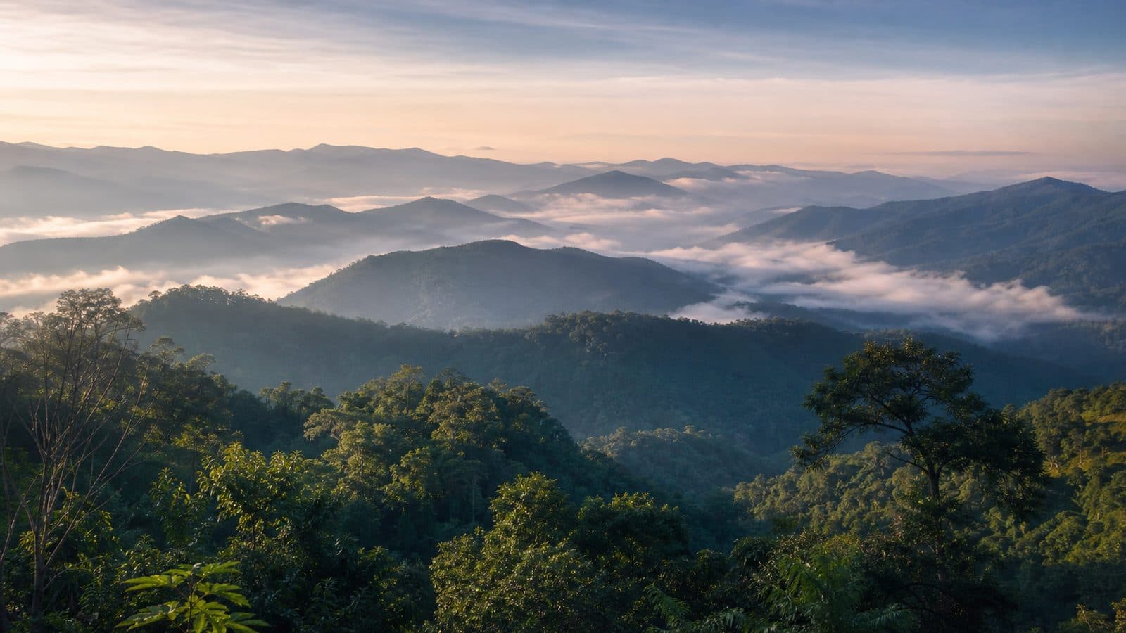 Pai Watershed Wildlife Sanctuary