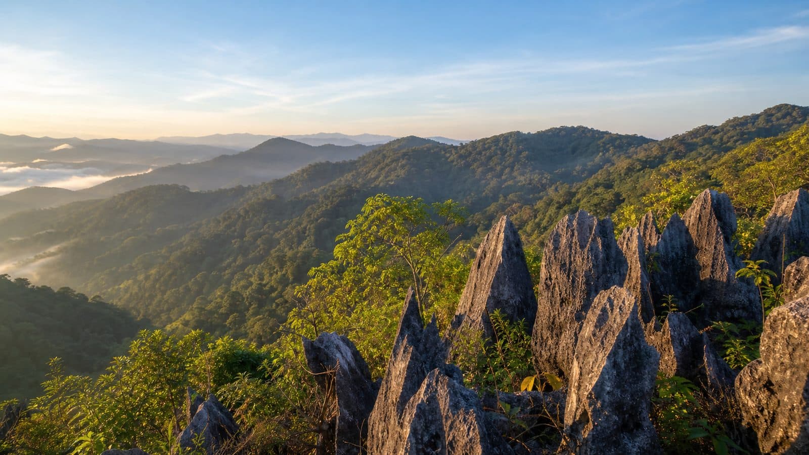 Pha Hin Tang Forest Park