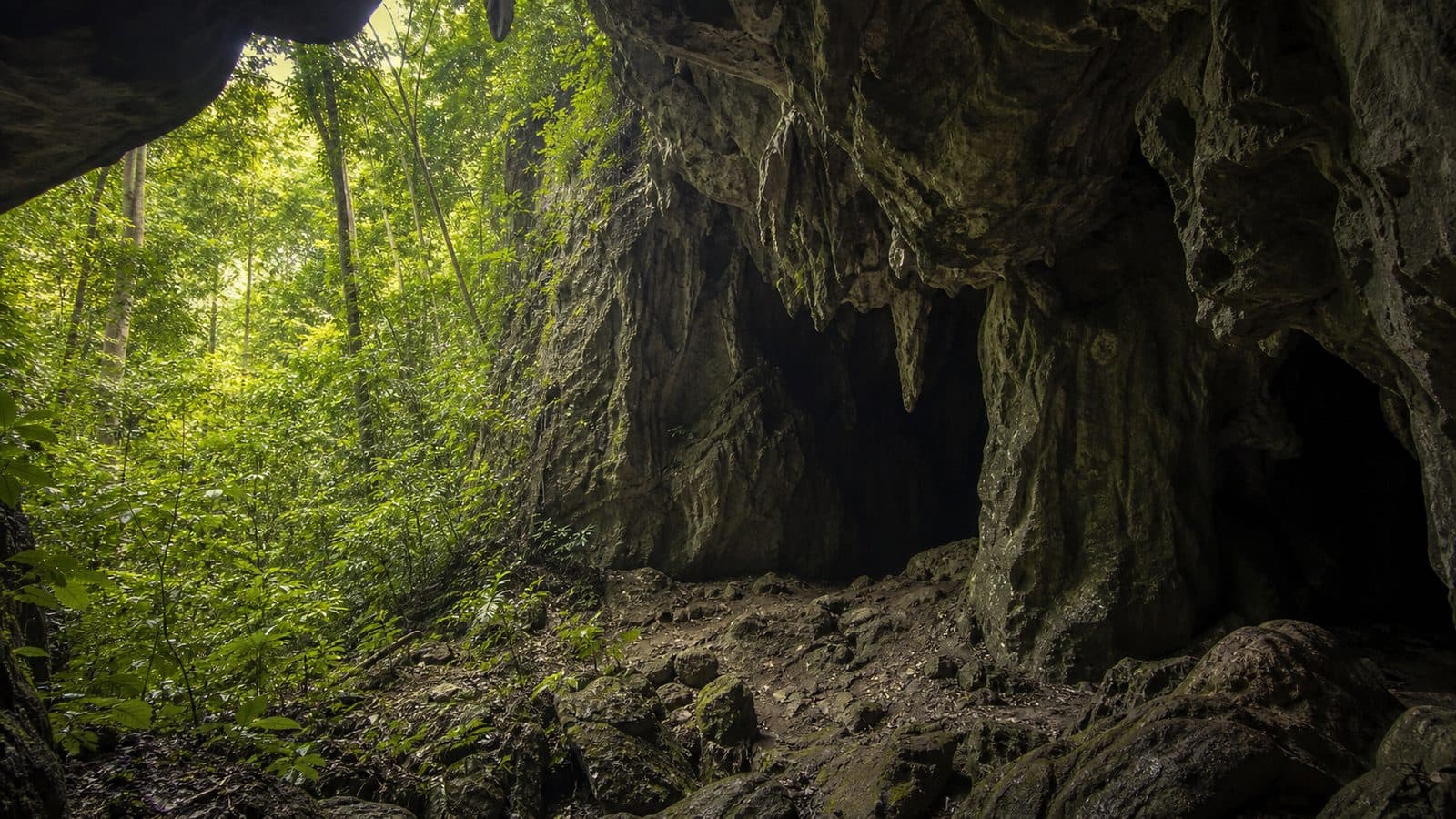 Pha Lae Cave Forest Park
