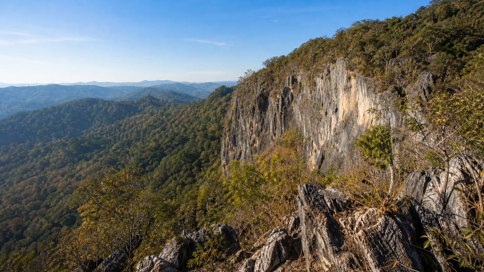 Pha Lak Muen Forest Park