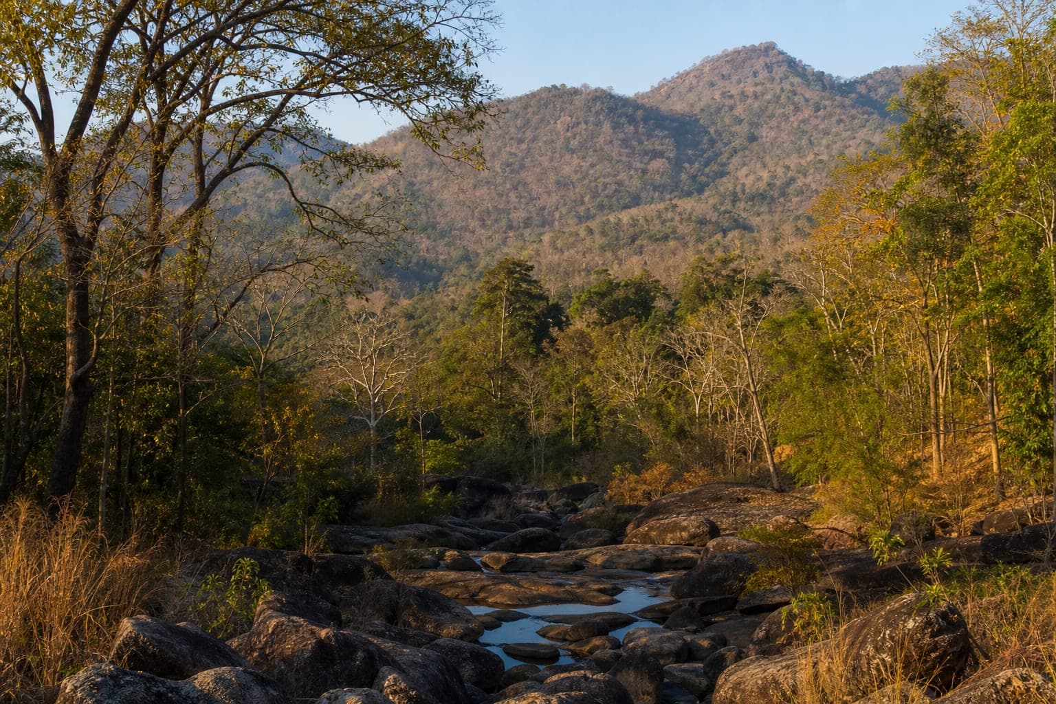 Salak Phra Wildlife Sanctuary