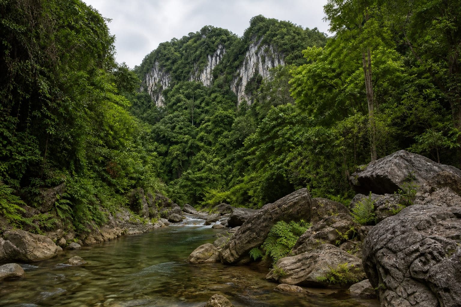 Si Chomphu Forest Park