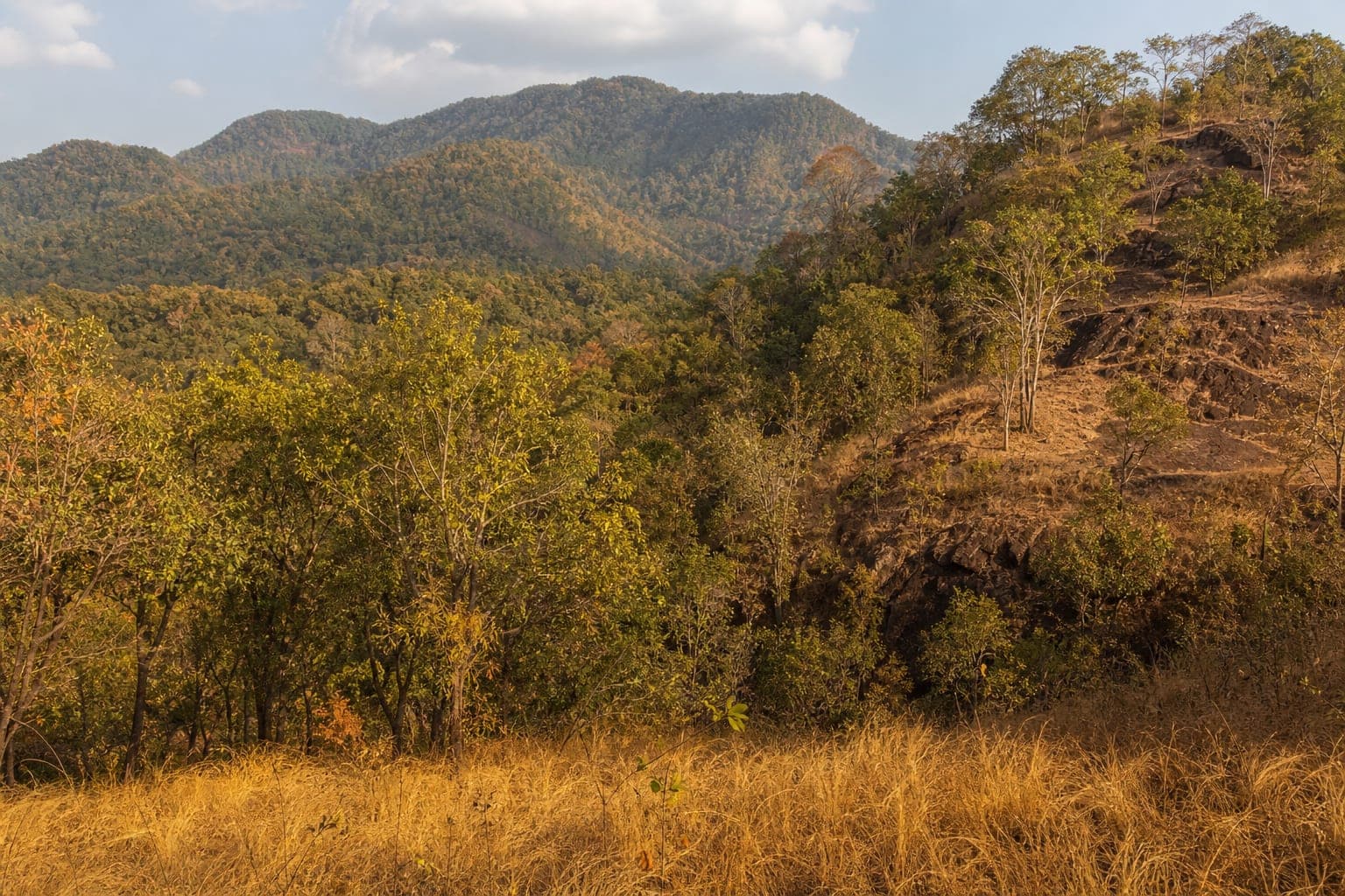 Si Satchanalai National Park