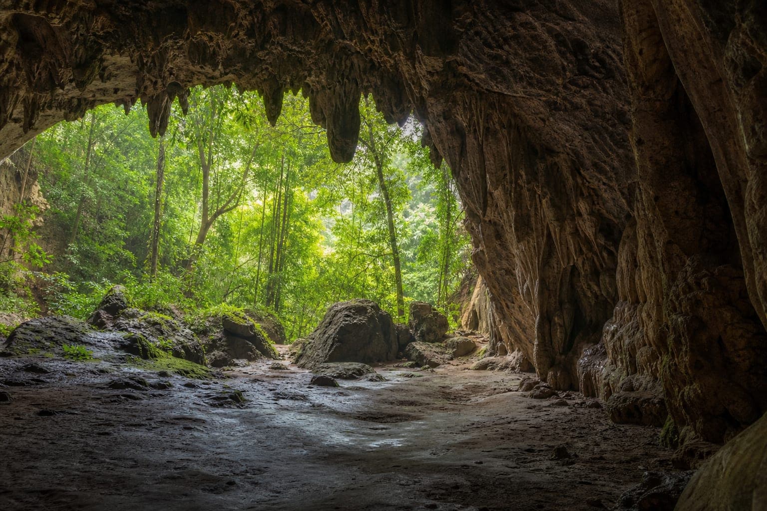 Tham Lom – Tham Wang Forest Park