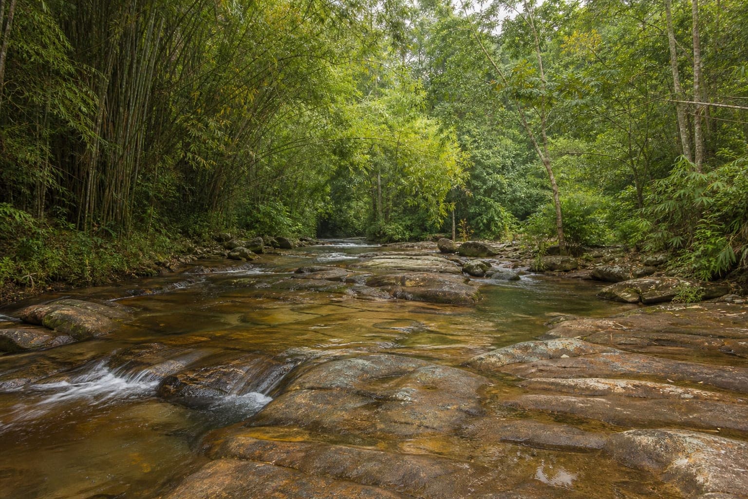Wang Than Thong Waterfall Forest Park