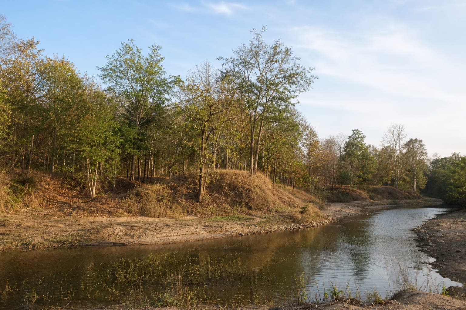 Wiang Lo Historical Forest Park