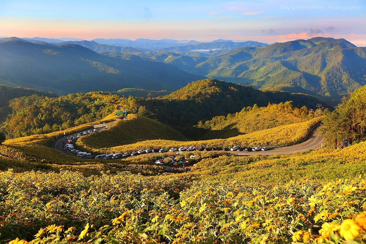 Thung Bua Tong Forest Park