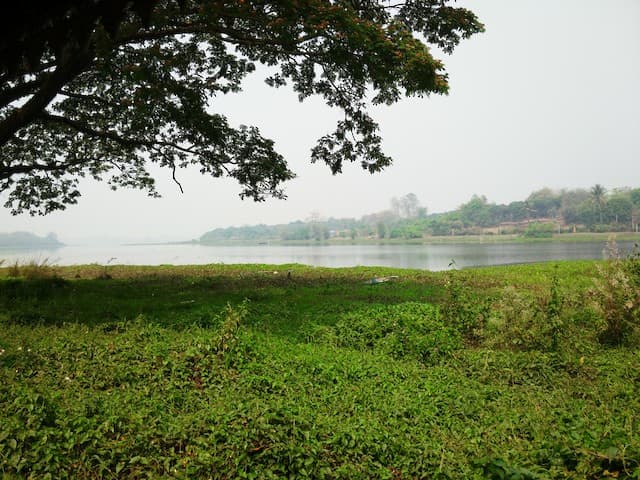 Nong Bong Kai Wetland Reserve