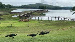 Mae Puem National Park