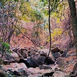 Pha Tub Cave Forest Park