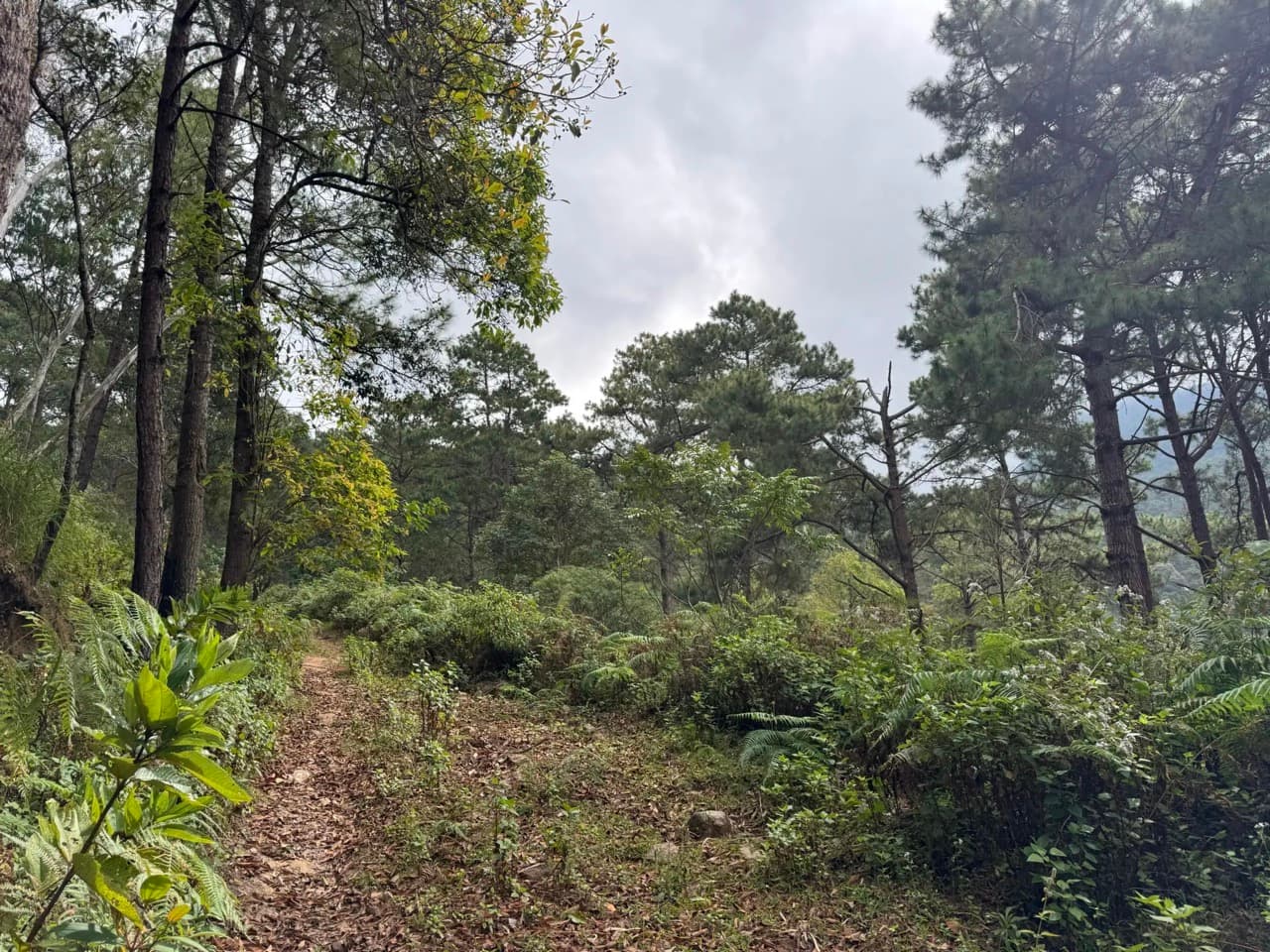 Ban Mae Hai Noi to Samoeng