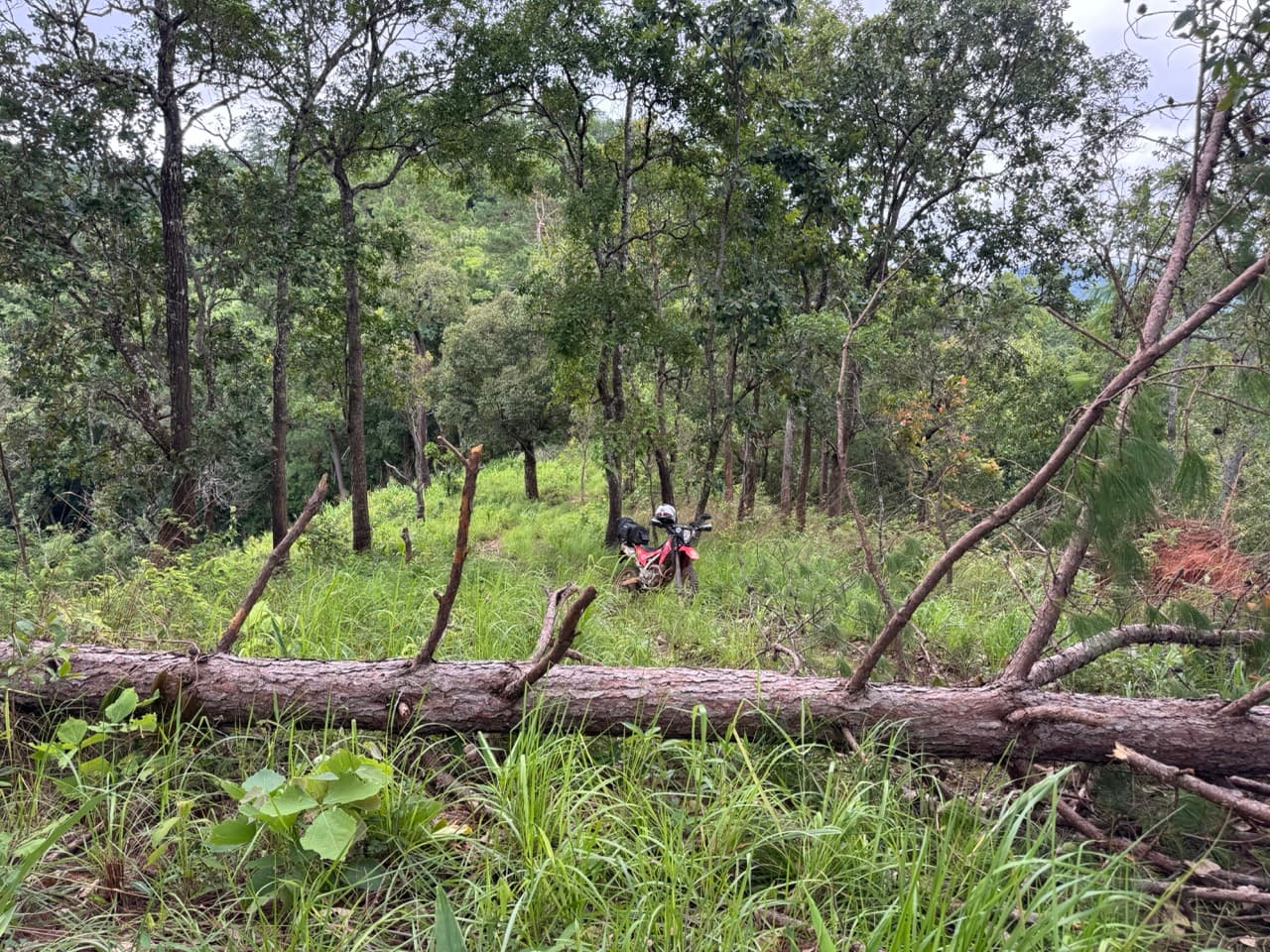 Samoeng to Mon Jam via Farm Roads