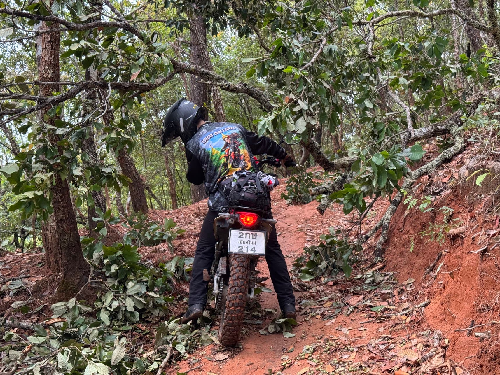 Trail photo — Pai Border Loop