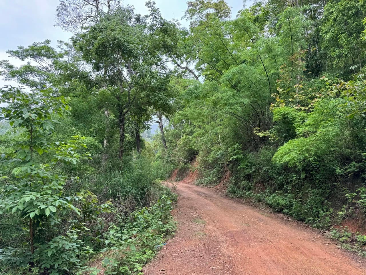 Muang Khong to Wiang Haeng