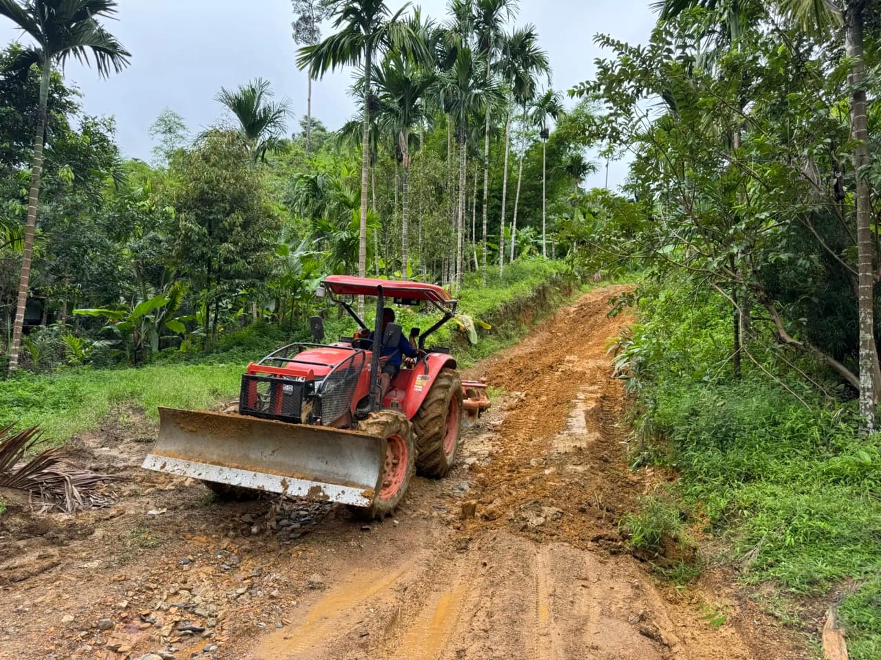 Baan Plueng Klueng to Baan Lee Tong Ku