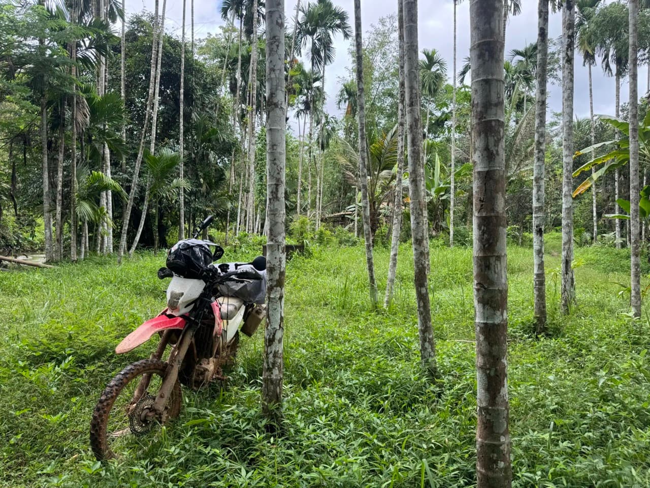 Baan Plueng Klueng to Baan Lee Tong Ku