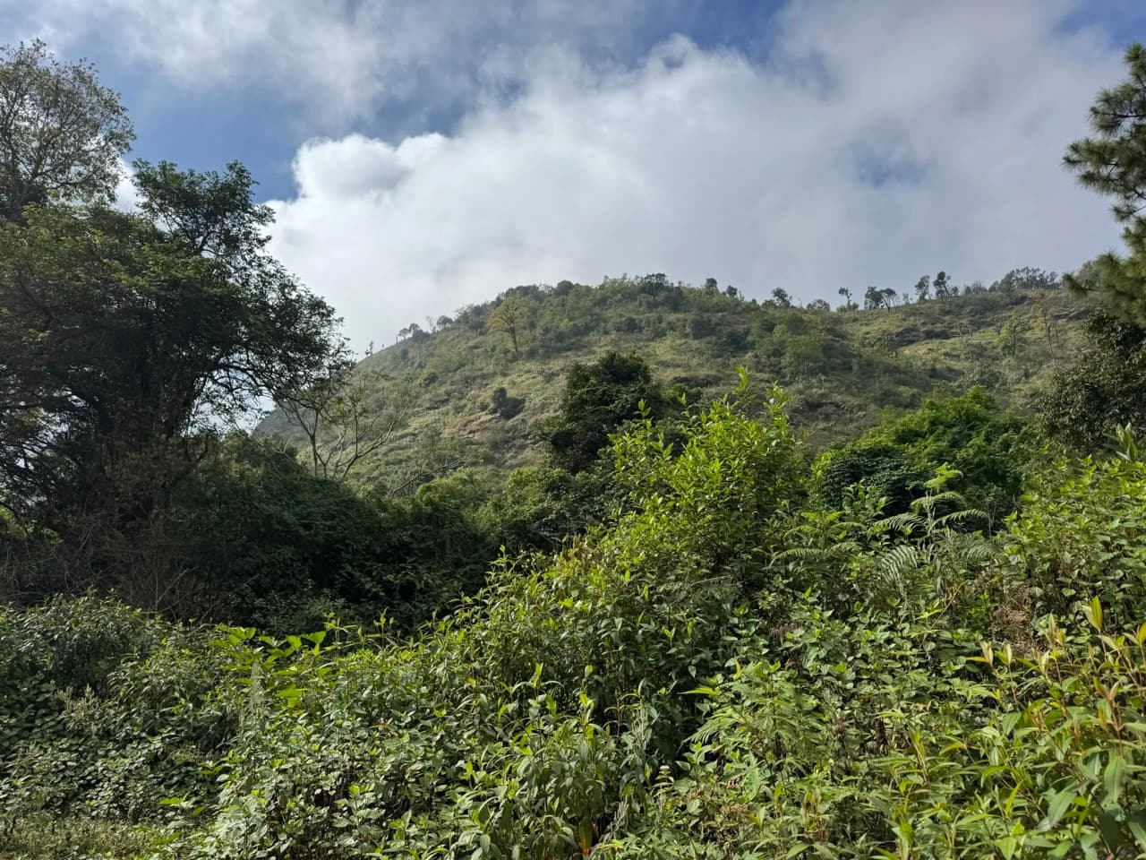 Ban Mae Hai Noi to Samoeng