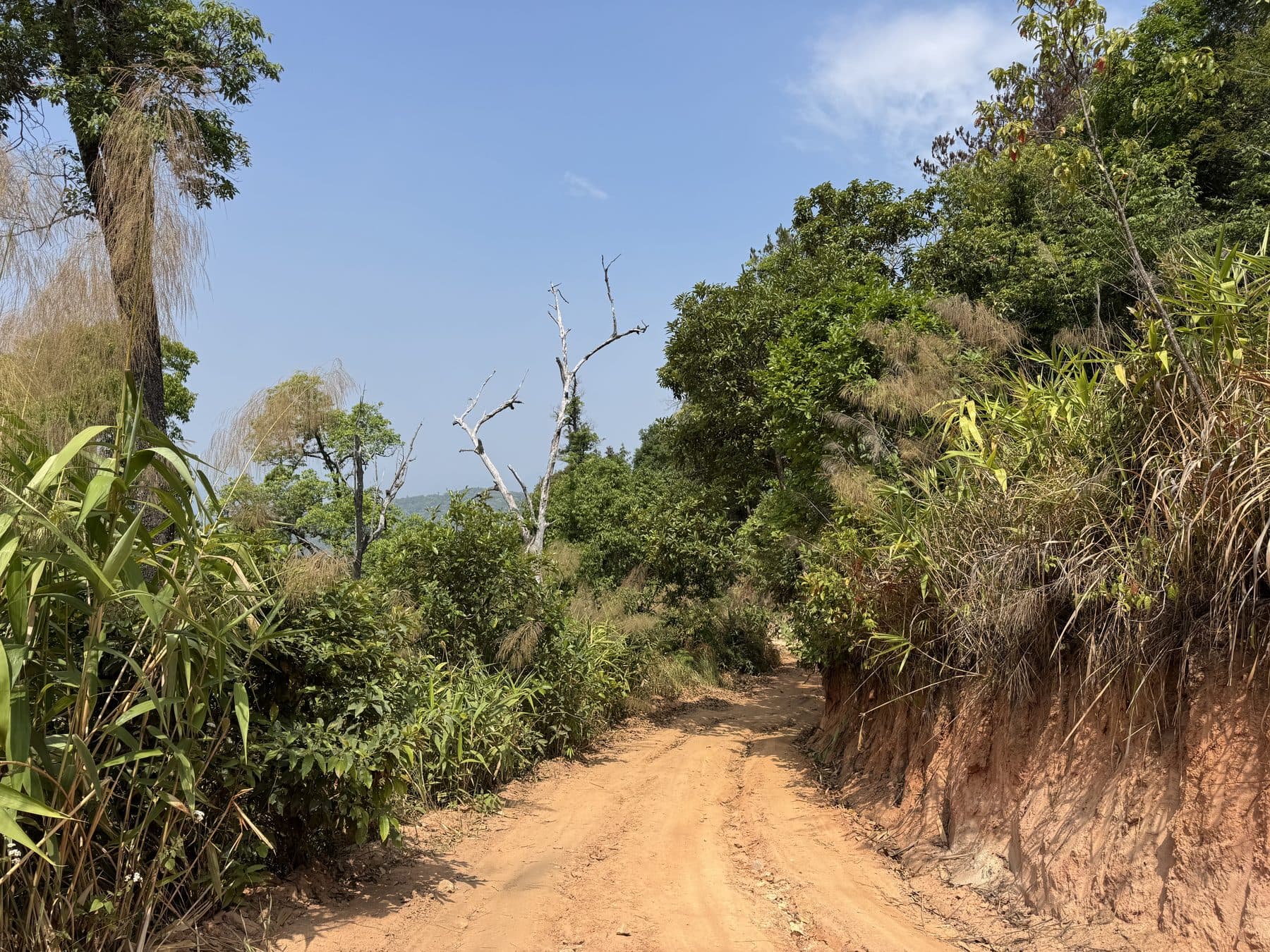 Chom Thong to Mae Chaem via Dirt Roads