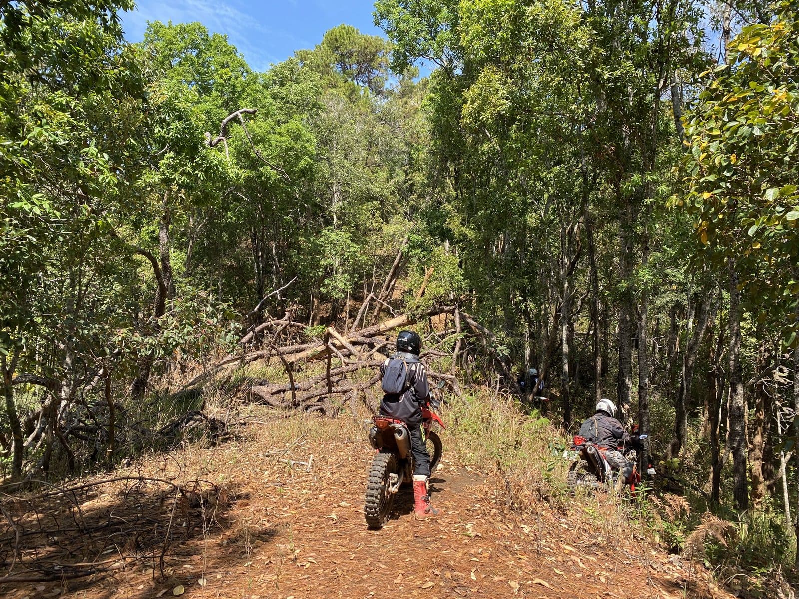 Mae Rim Dirt Trails