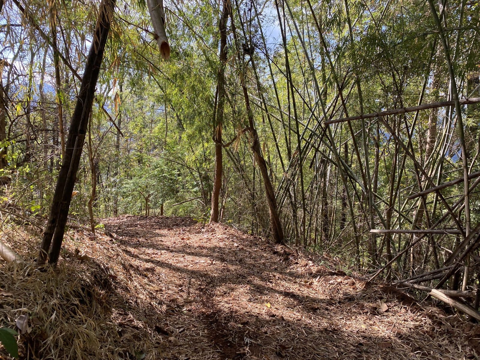 Mae Rim Dirt Trails