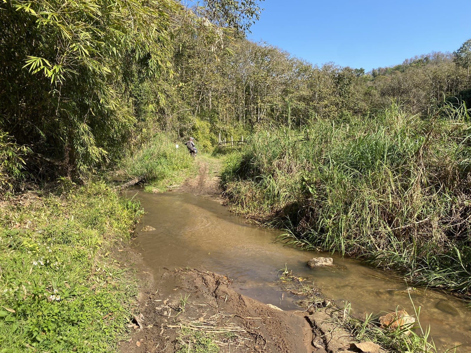 Mae Rim Dirt Trails