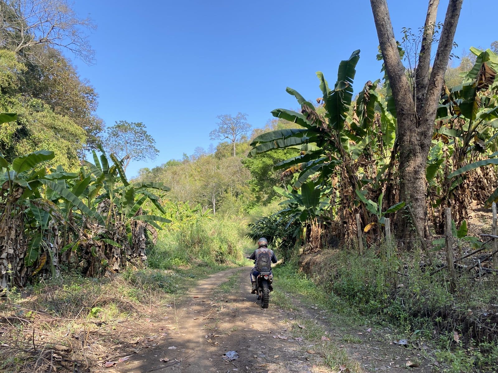 Mae Rim Dirt Trails