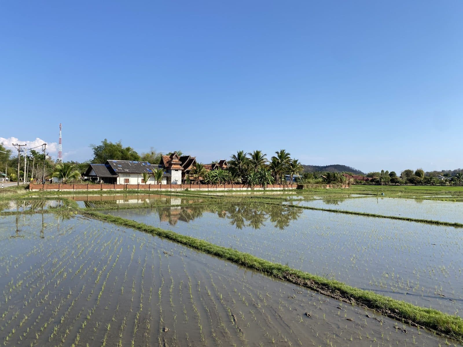 Mae Rim Dirt Trails
