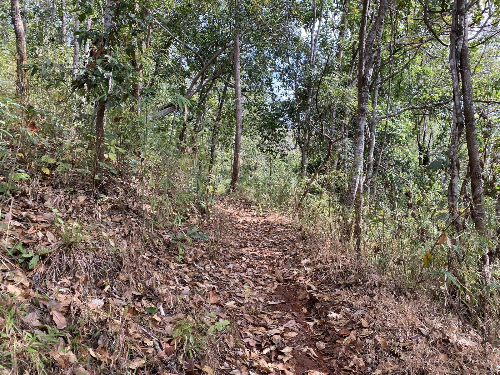 Mae Rim Dirt Trails