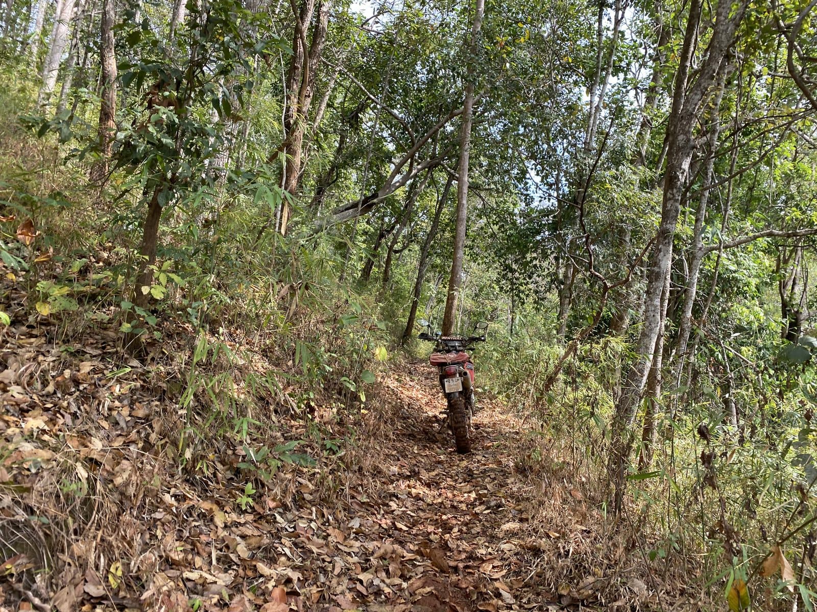 Mae Rim Dirt Trails