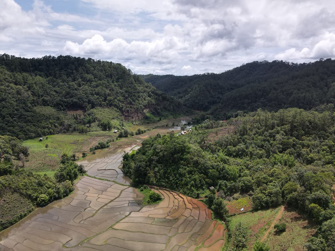 The Old Elephant Trail