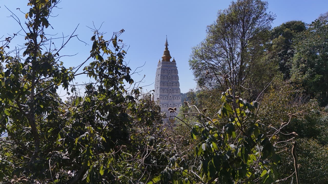 The Ramming Tea Estate to Chiang Dao