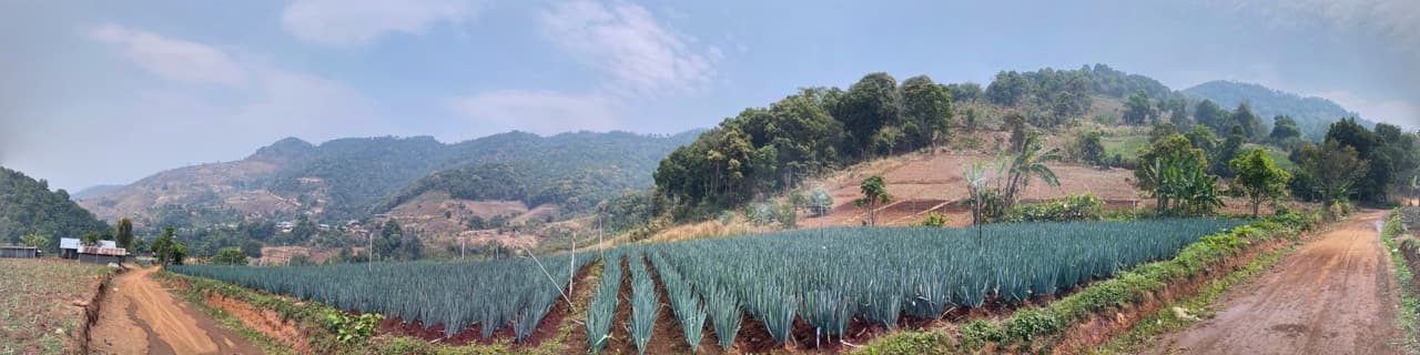 Chiang Mai to Pai Off-road - Option 1