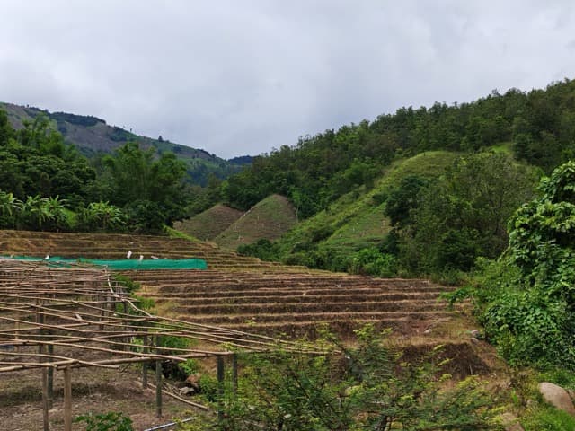 Mae Chaem Eastern Mud Fest