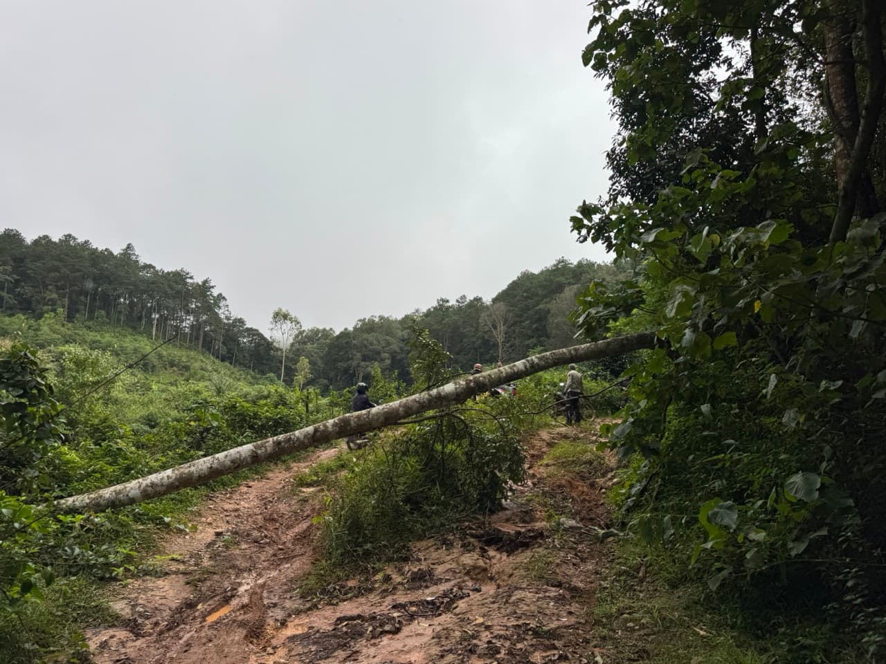 Chom Thong to Mae Chaem - The Short Route