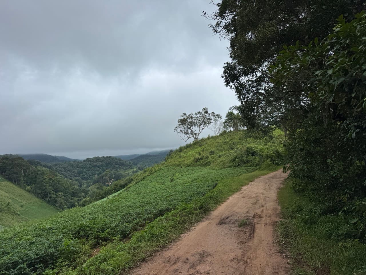 Chom Thong to Mae Chaem - The Short Route