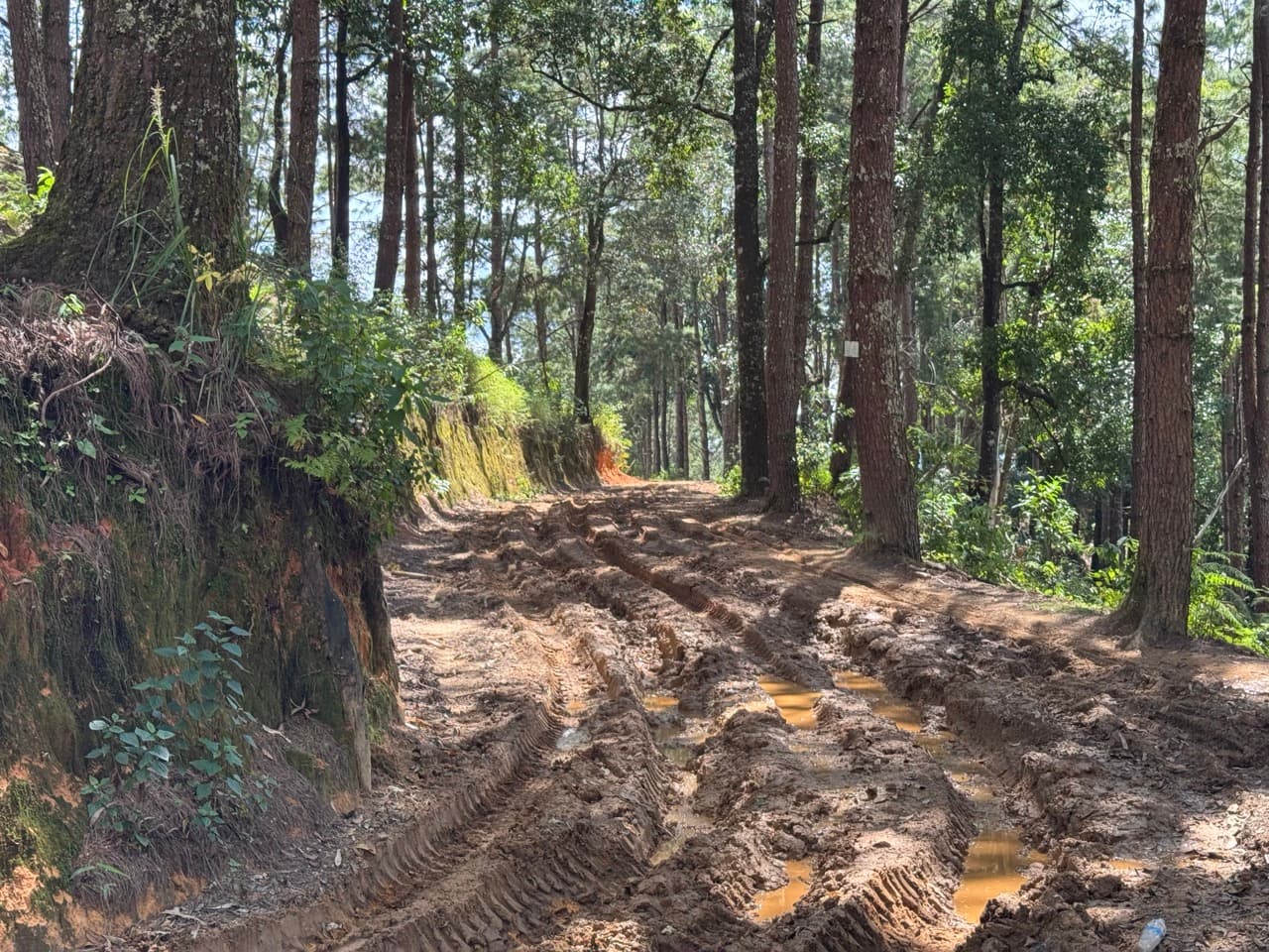 Pai Loop