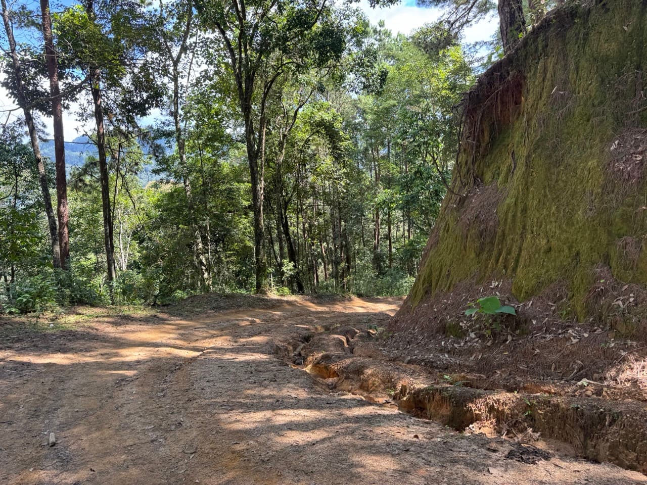 Pai Loop