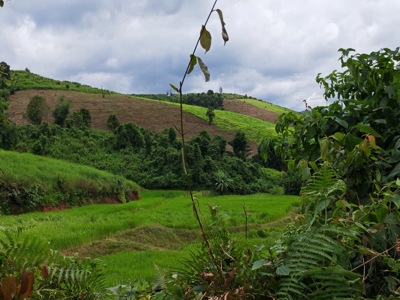 Mae Sariang to Mae Chaem via Village Roads