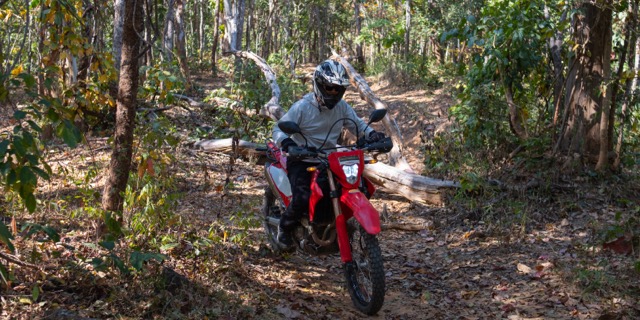 The Mae On Warm Up Trail