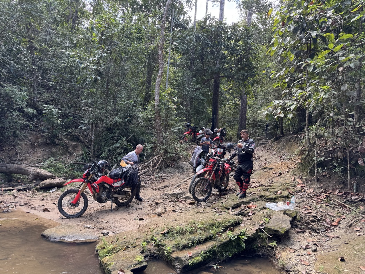 Bamboo Creek and the Butterfly Trail